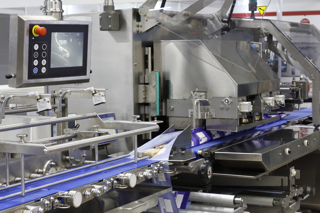 A fragment of the packaging system. automatic conveyor for food